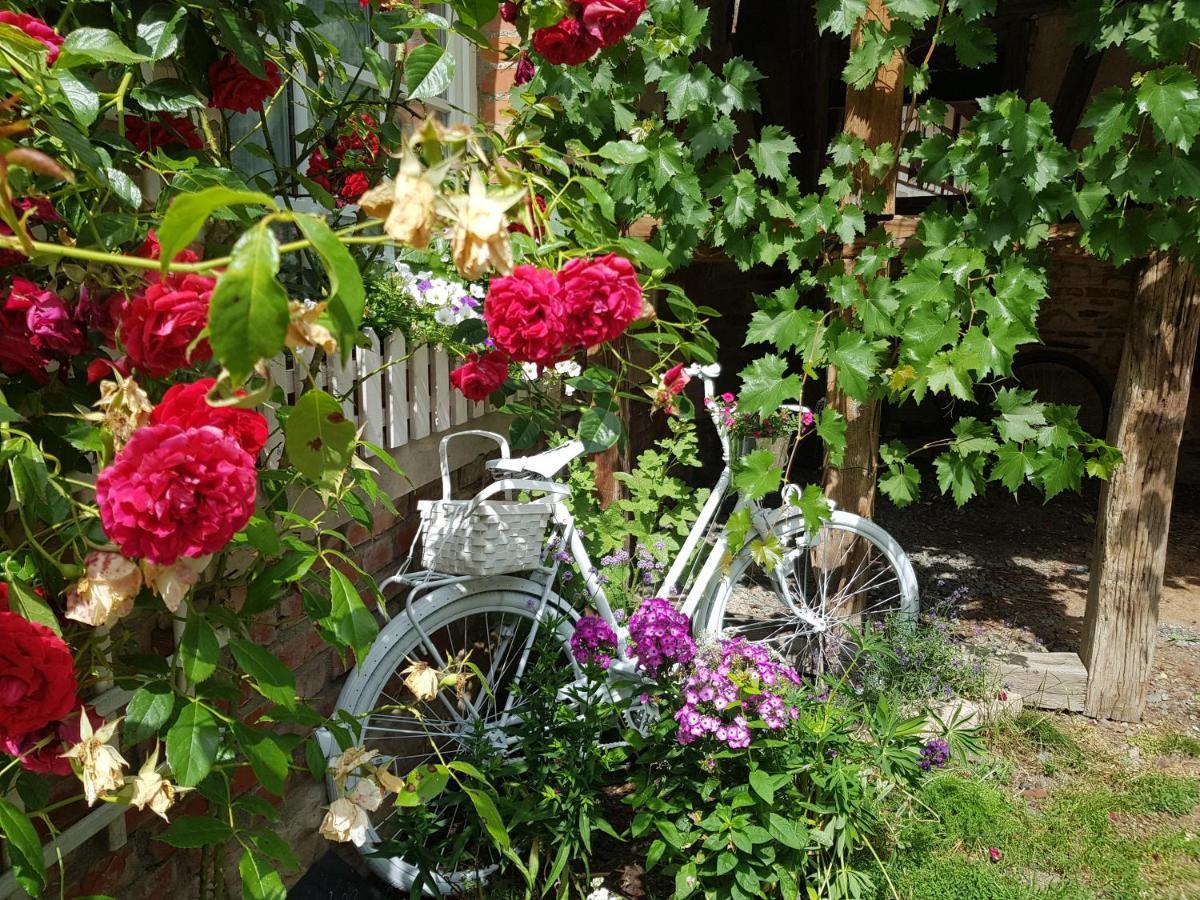 Romantisches Rosencottage Hofheim in Unterfranken Buitenkant foto